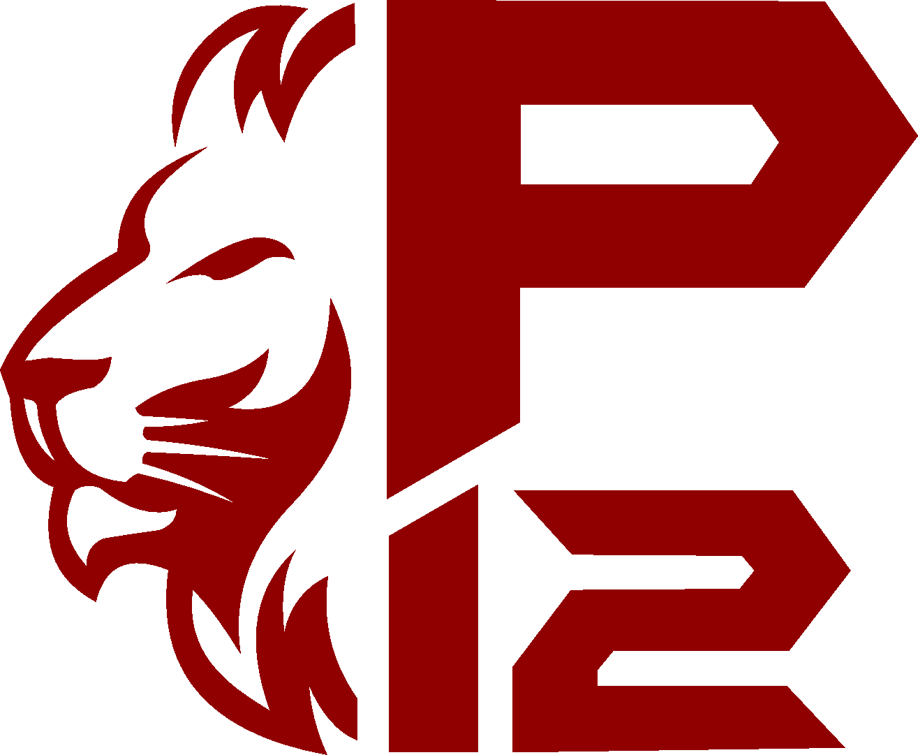 p12 viusal